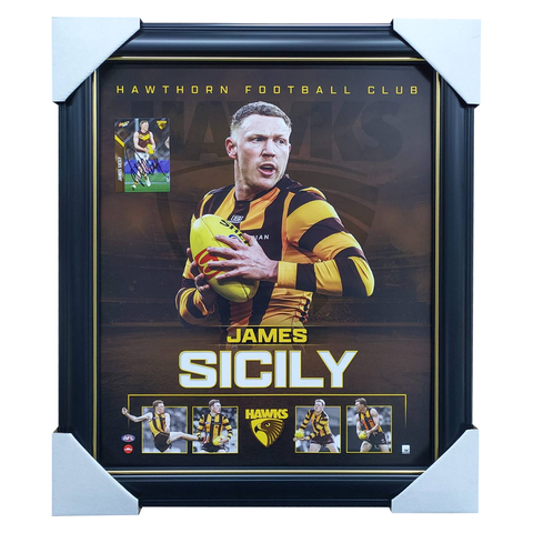 James Sicily Hawthorn Hawks Official Licensed AFL Print Framed + Signed Card - 5967