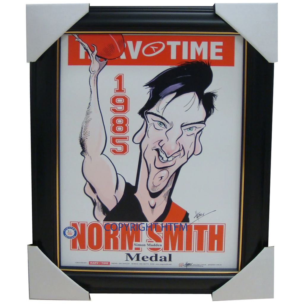 Simon Madden 1985 Essendon Norm Smith Medallist L/e Print Framed - 1594